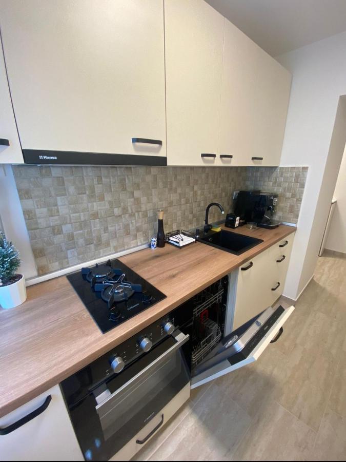 Apartamentul Gaviota Timişoara