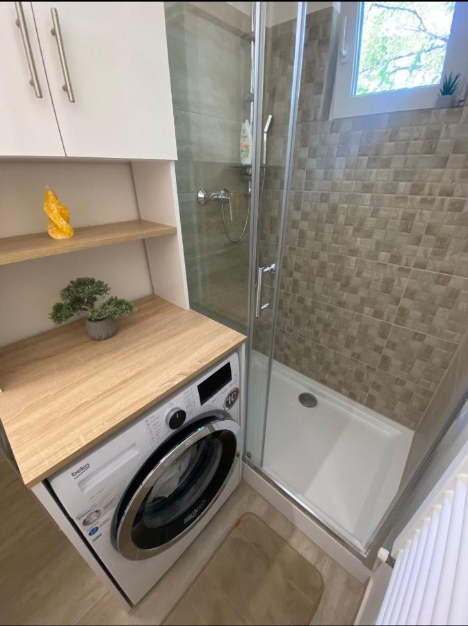 Apartamentul Gaviota Timişoara