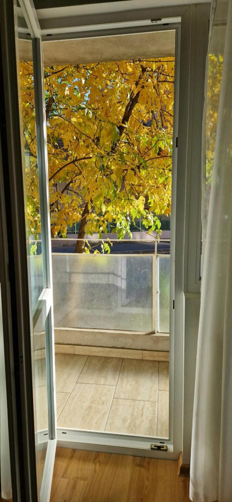 Appartement Apartamentul Gaviota